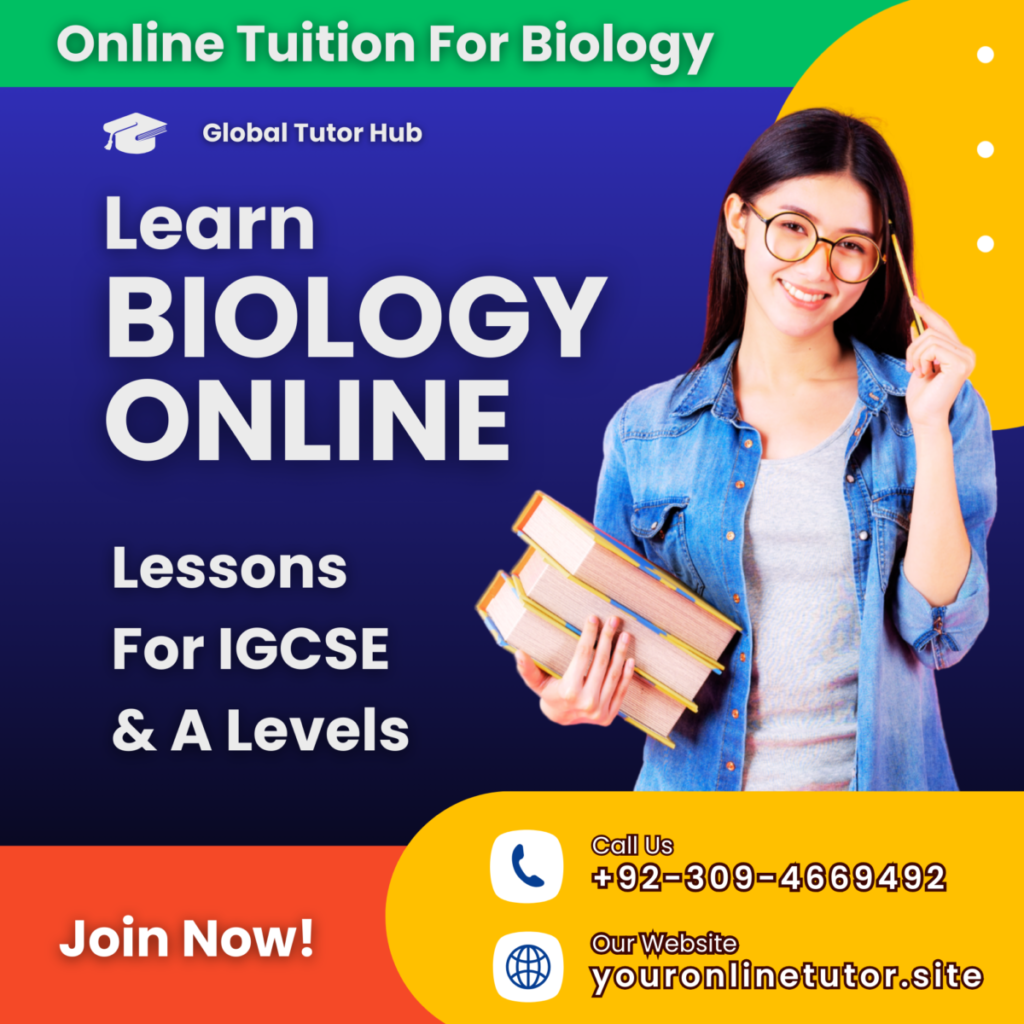 Global Tutor Hub